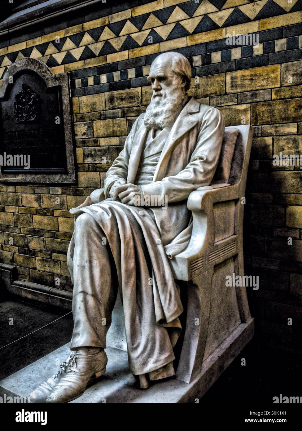 Statue of Charles Darwin Stock Photo Alamy