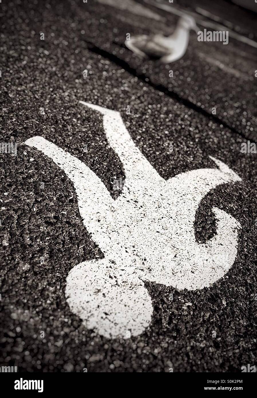 Pedestrian figure and seagull - Smartphone Captured Stock Image Pedestrian figure and seagull - Smartphone Captured Stock Image