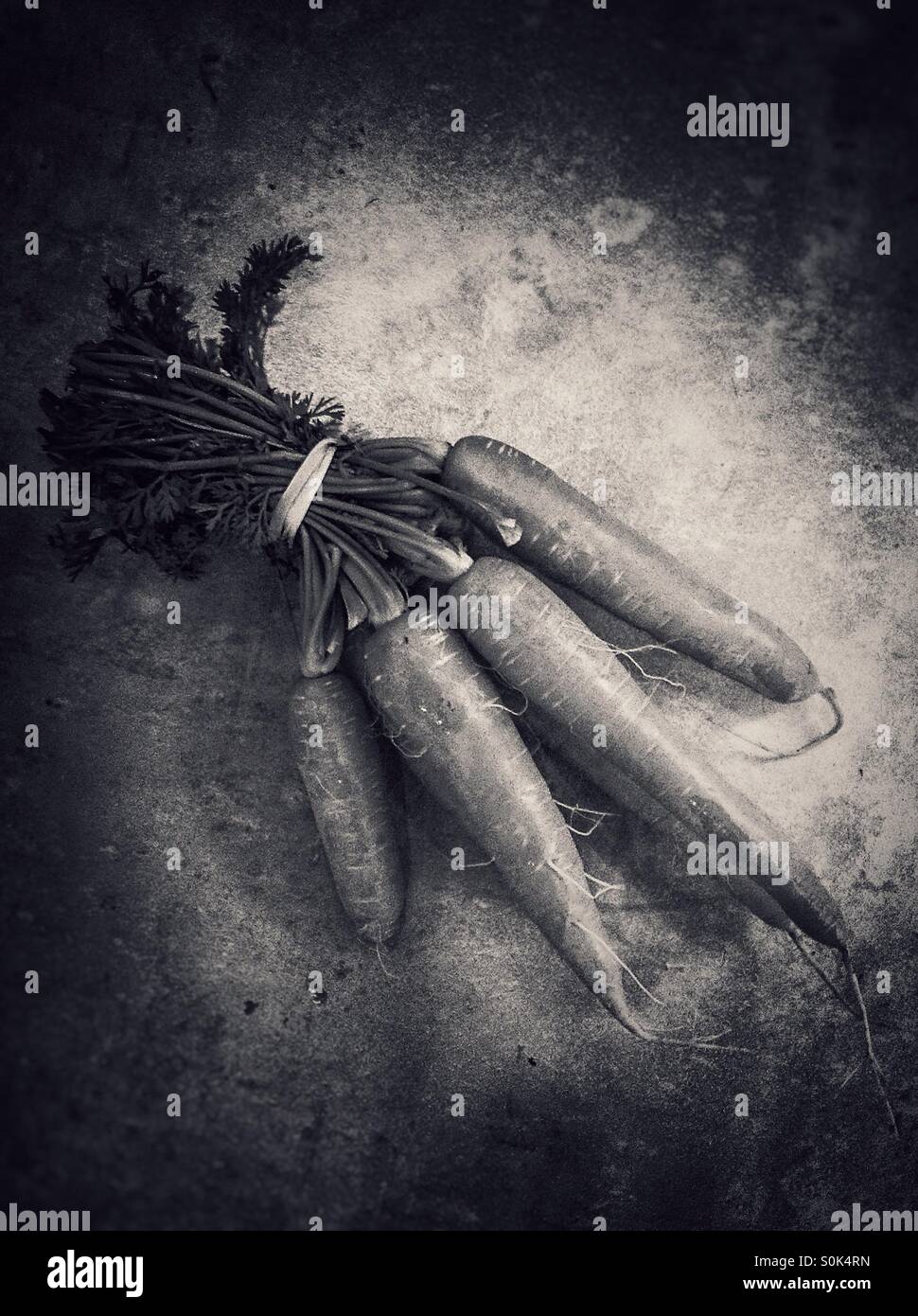 Carrot vegetable on white smartphone stock photos and images - Alamy