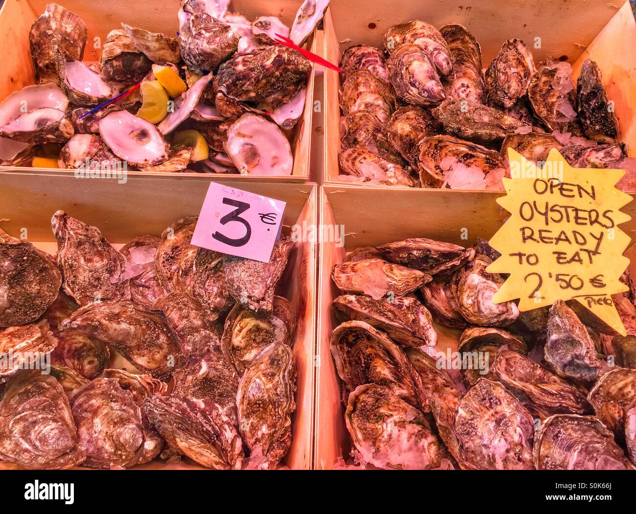 Oysters ready to eat Stock Photo