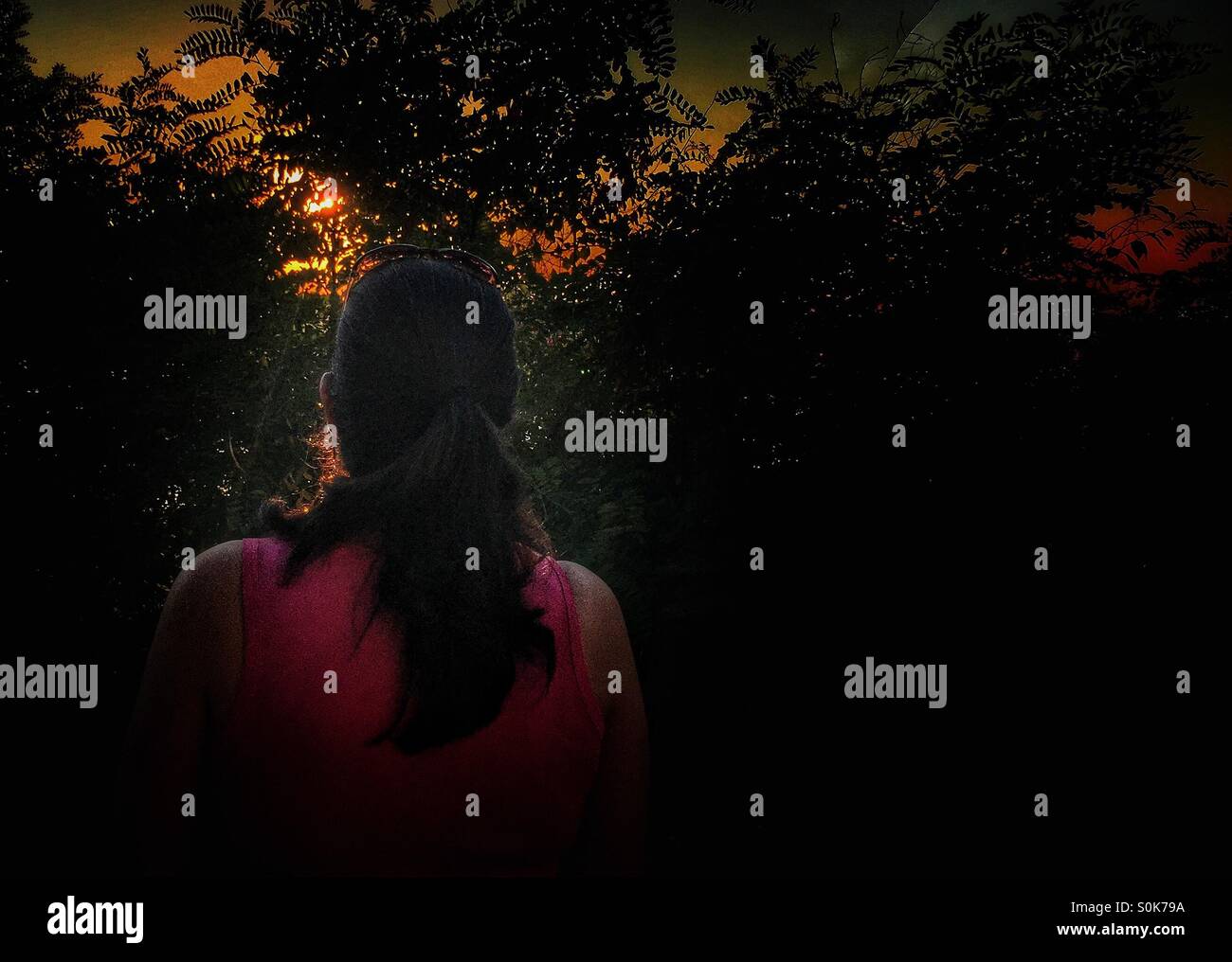 Woman looking the sunset Rear view - Smartphone Captured Stock Image