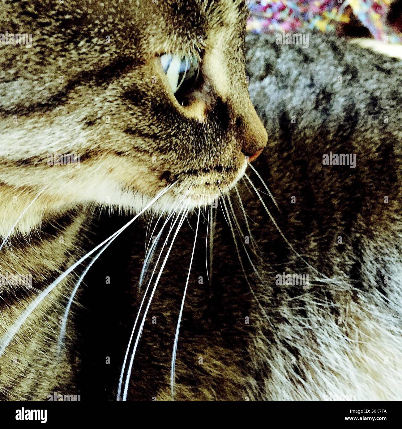 My Image 14
