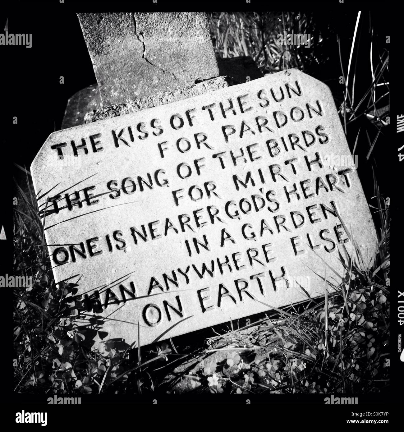 Poem in garden - Smartphone Captured Stock Image