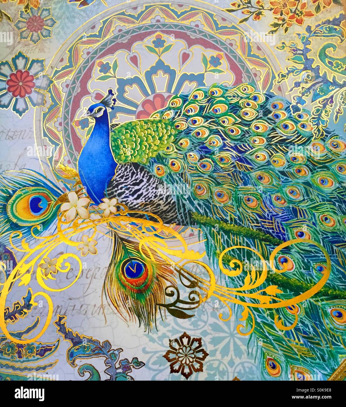 peacock print designs