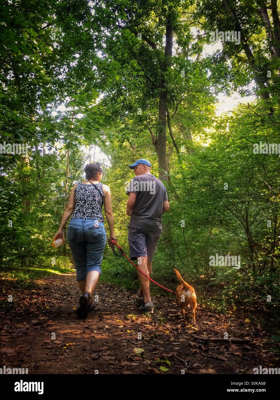 Couple walking dog in the woods - Smartphone Captured Stock Image