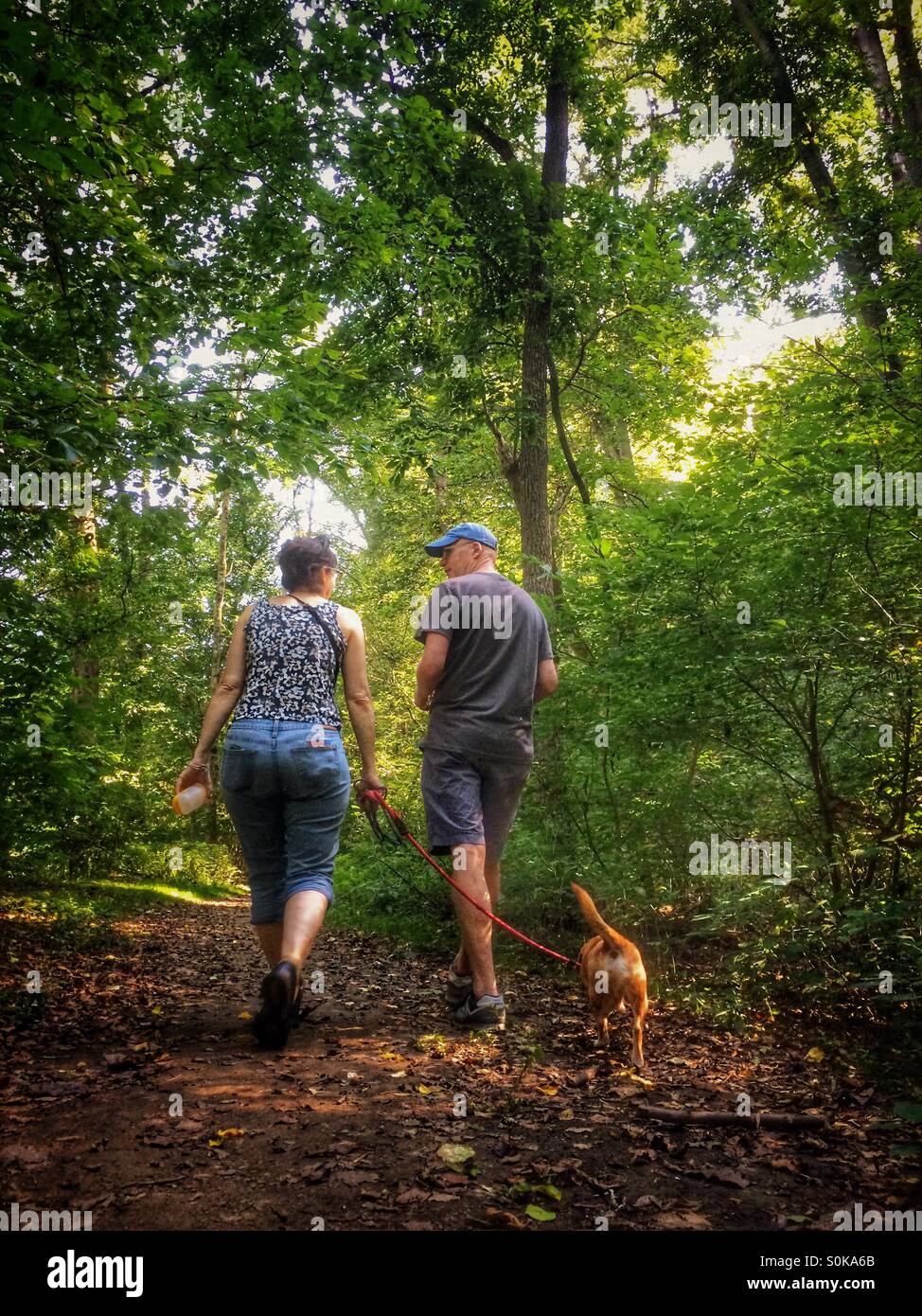Couple walking dog in the woods Stock Photo