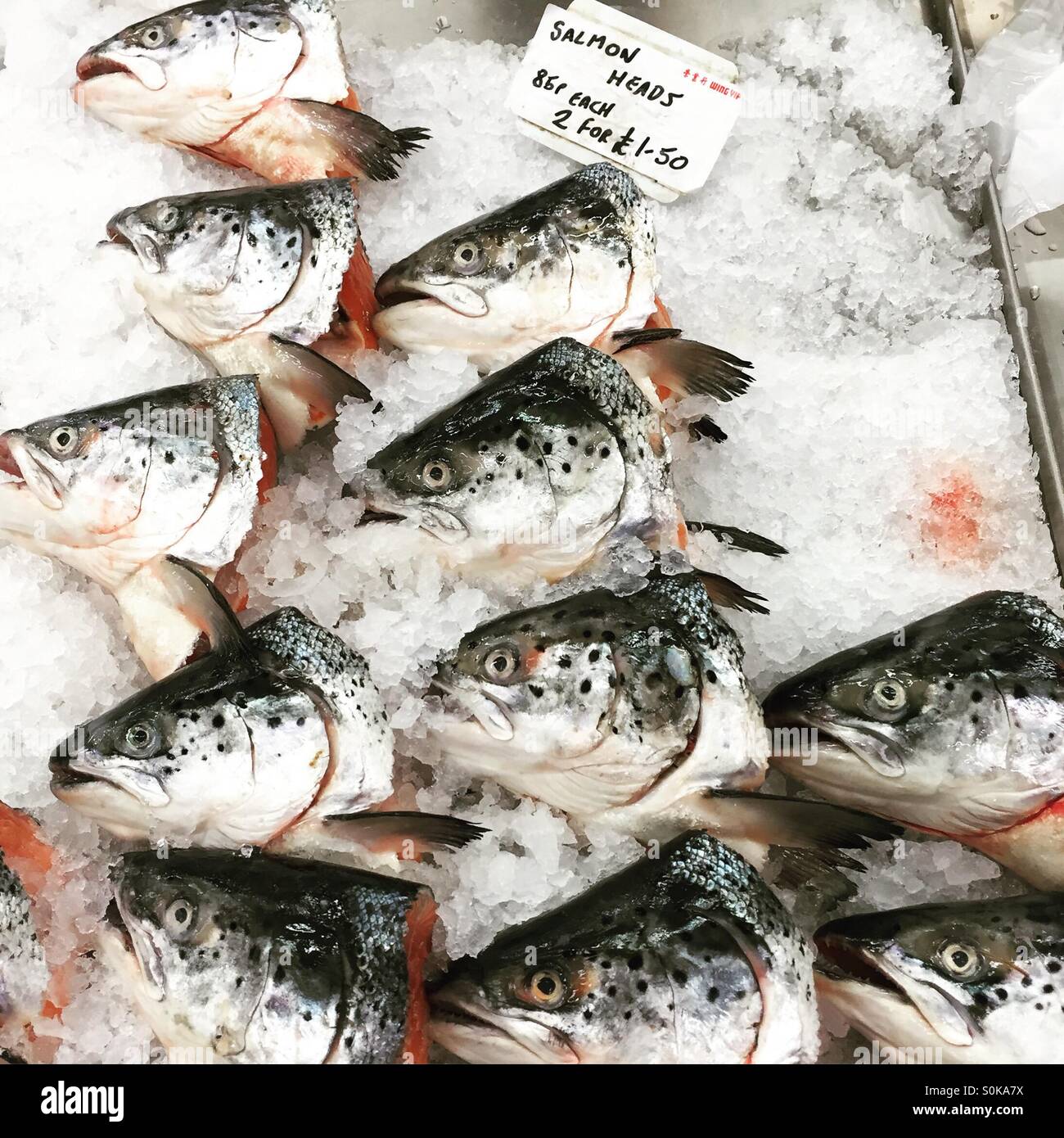 Salmon fish heads hires stock photography and images Alamy