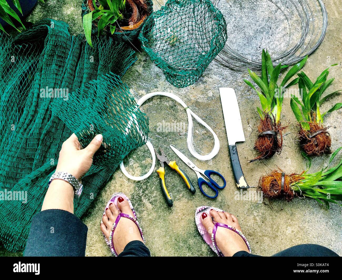 Making a hanging pot Stock Photo Alamy