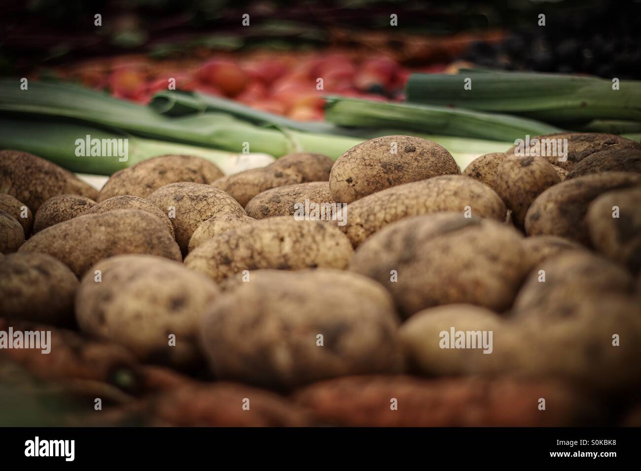 Nature's Harvest Stock Photo