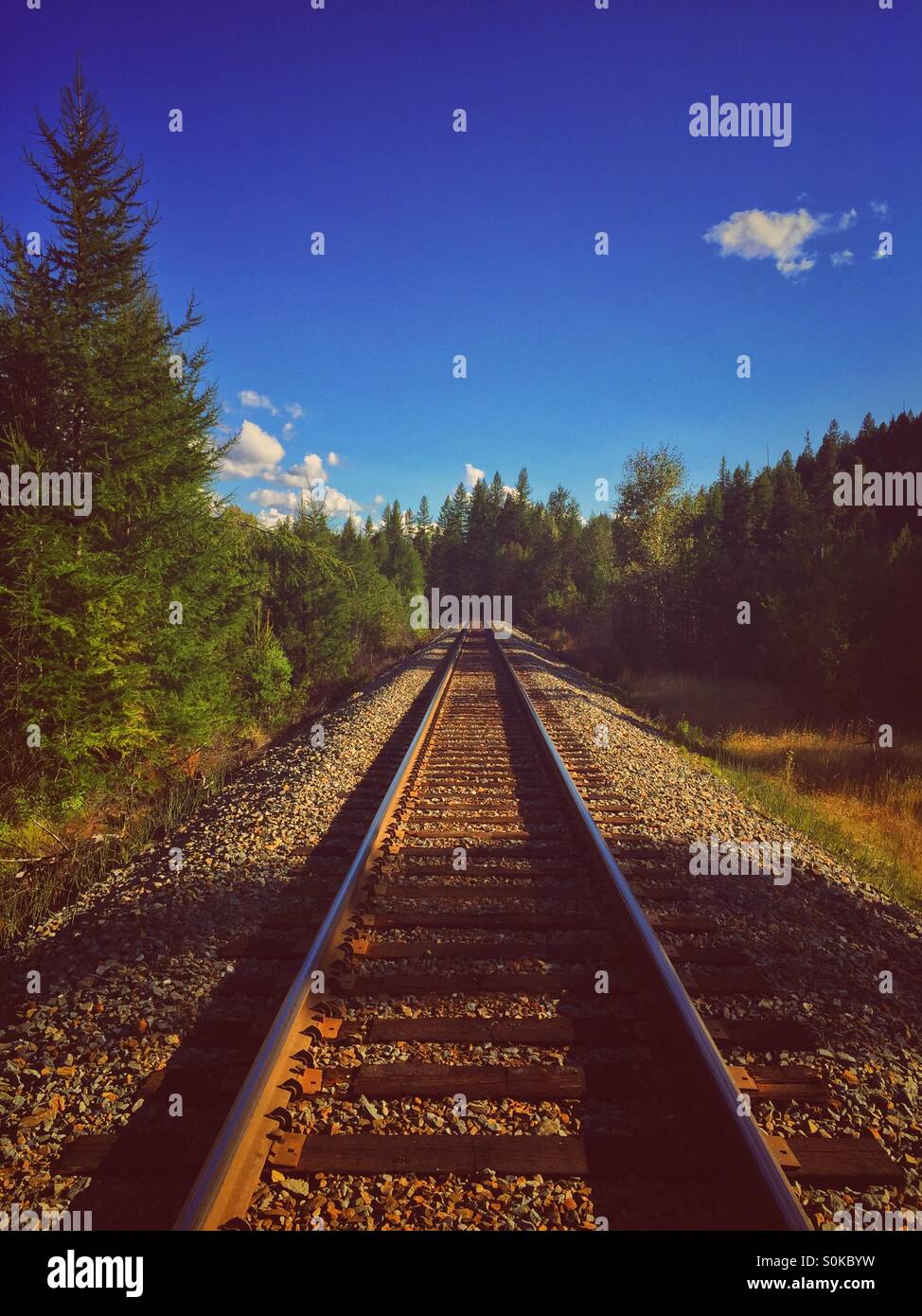 Train tracks leading away amongst trees, under a summer blue sky. Vintage edit. - Smartphone Captured Stock Image