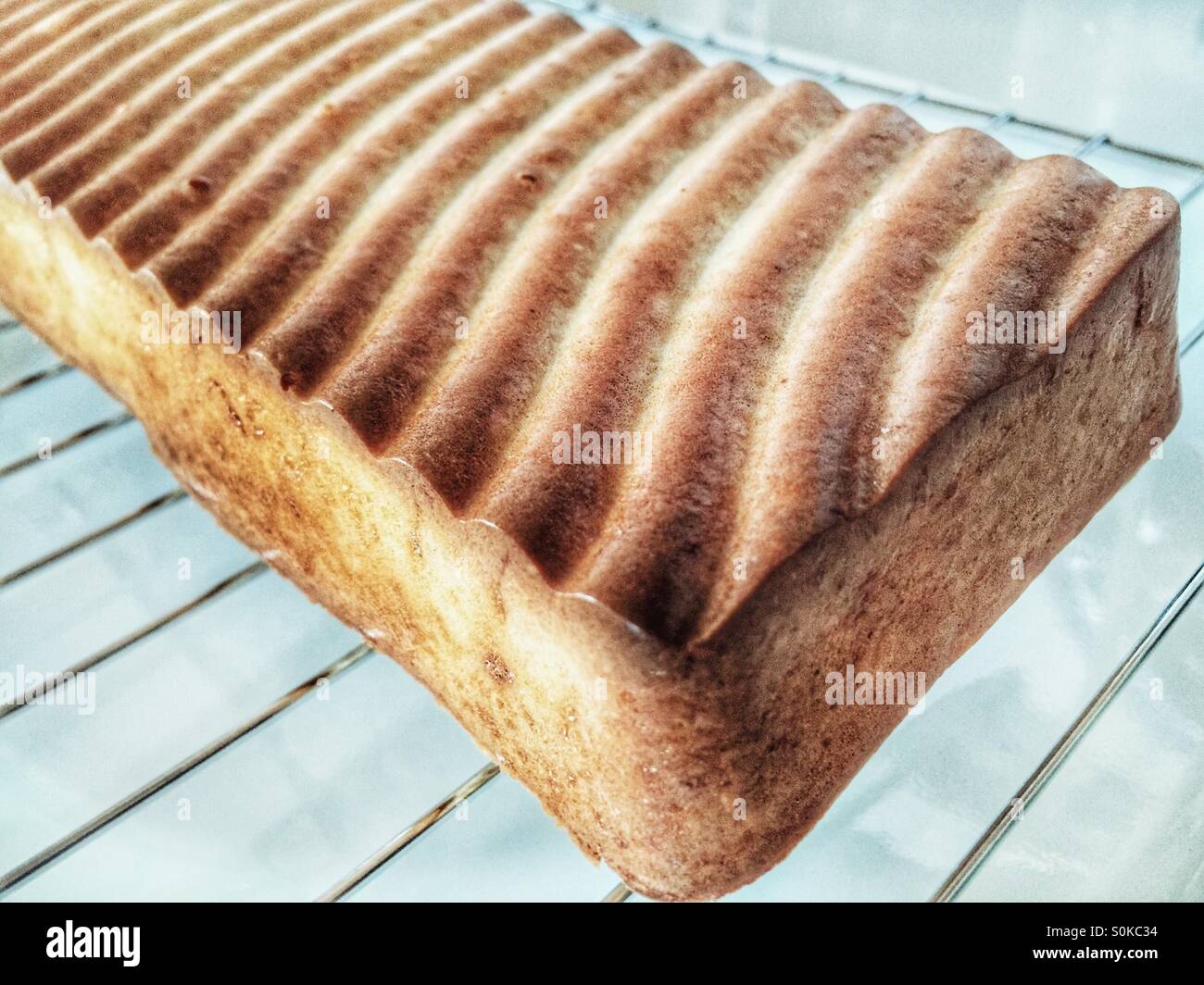 Baked Oatmeal Cake - Smartphone Captured Stock Image