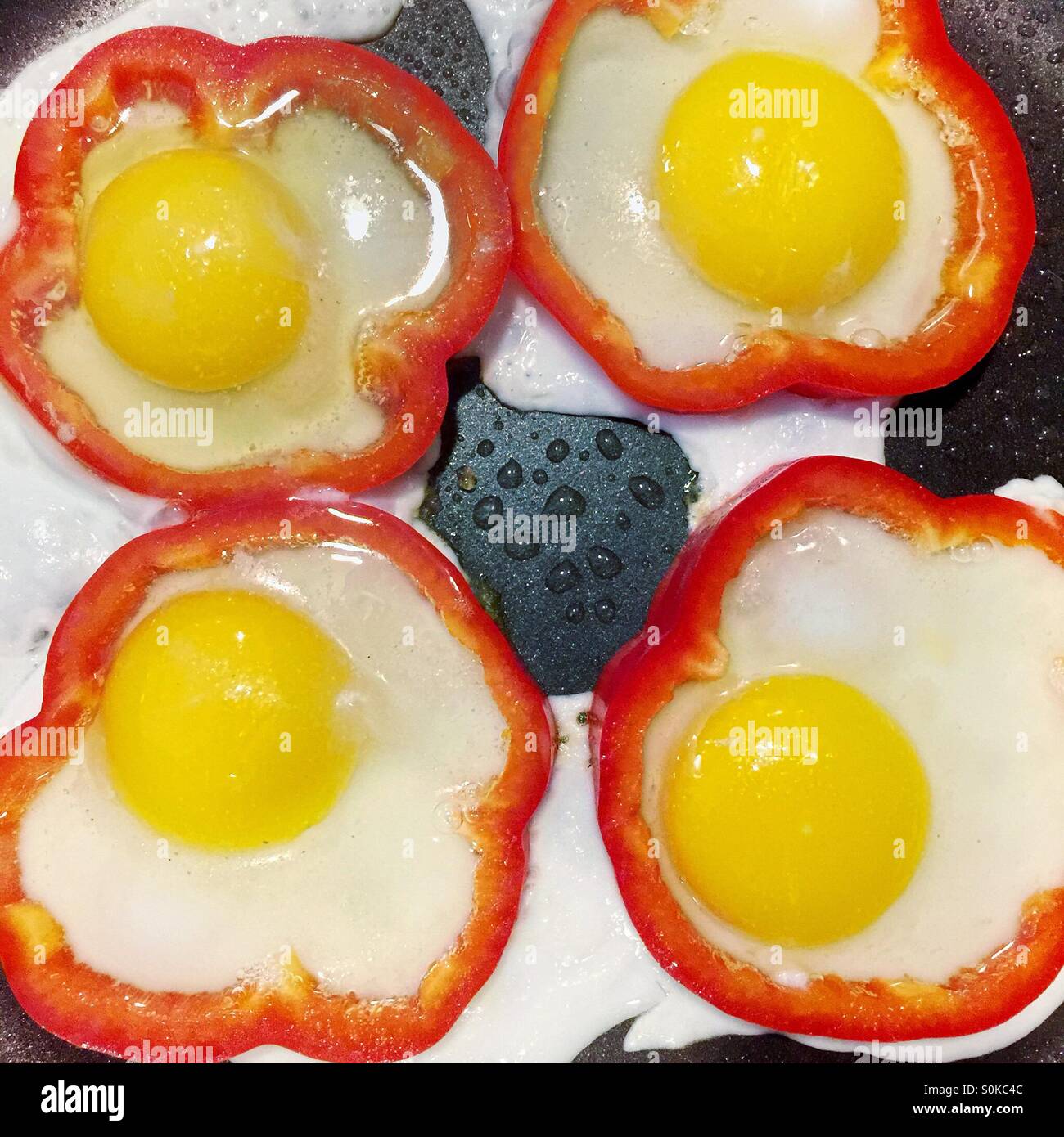 https://c8.alamy.com/comp/S0KC4C/four-sunny-side-up-eggs-cooking-inside-slices-of-red-peppers-S0KC4C.jpg