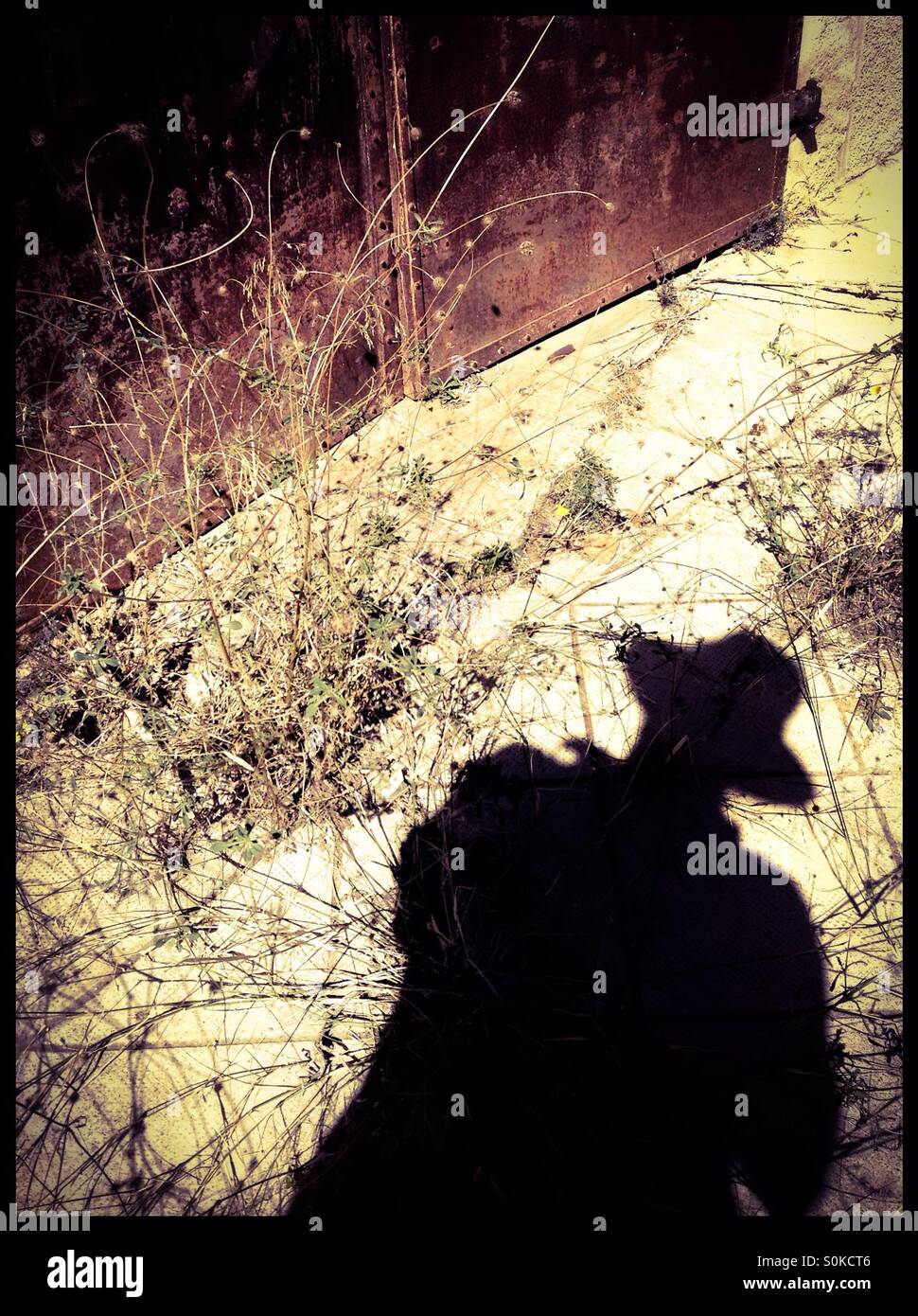 Shadow of a man with closed iron door, Catalonia, Spain. - Smartphone Captured Stock Image