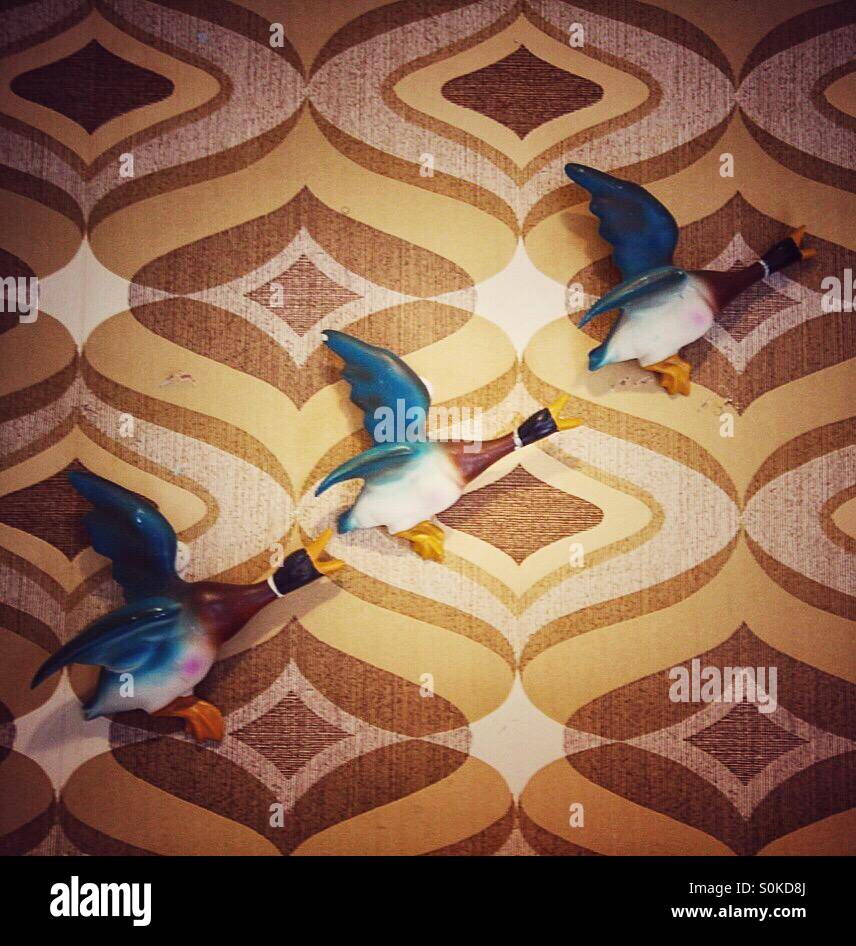 Three ducks on a wall with 1970’s retro wallpaper. Jack and Vera