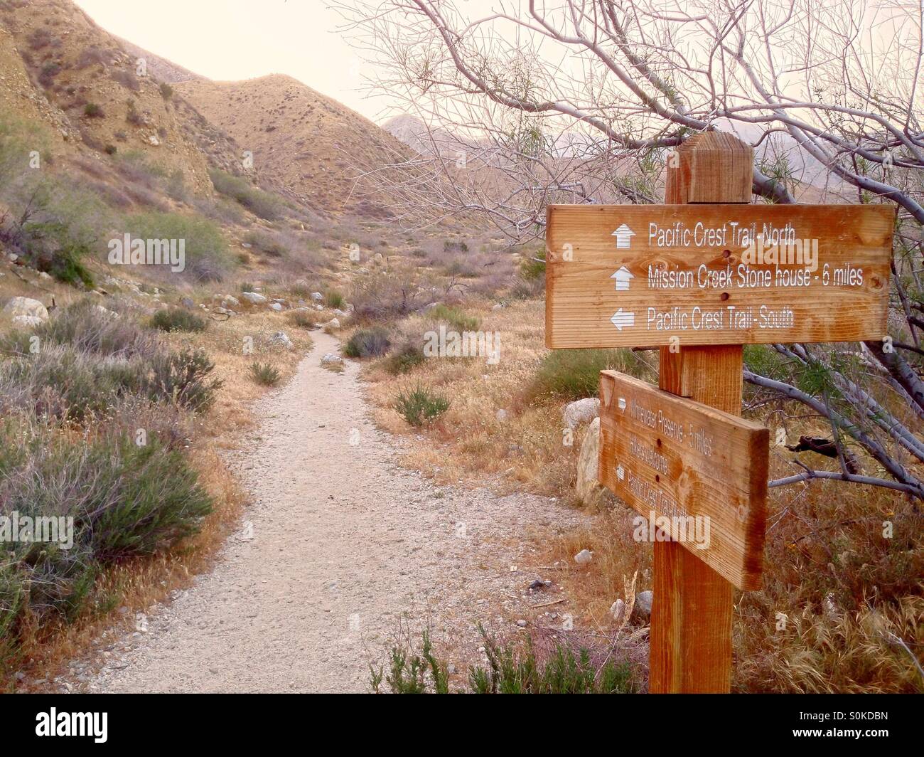 Pacific Crest Trail Stock Photo Alamy