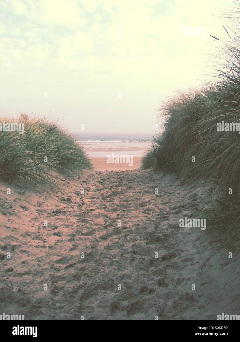 A sandy path between the dunes that leads to the beach. - Smartphone Captured Stock Image