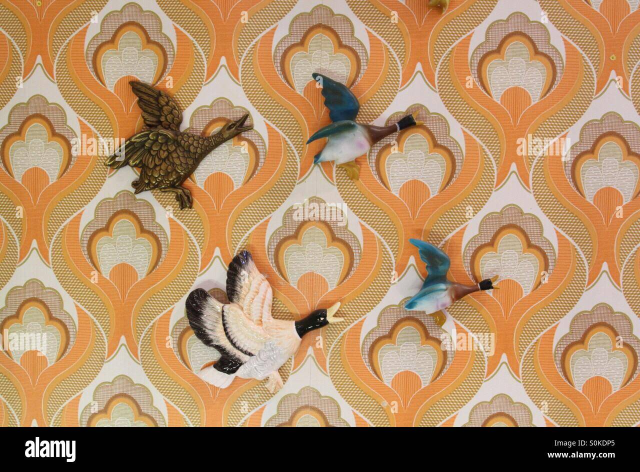 Four ducks on 1970s retro wallpaper. Stock Photo