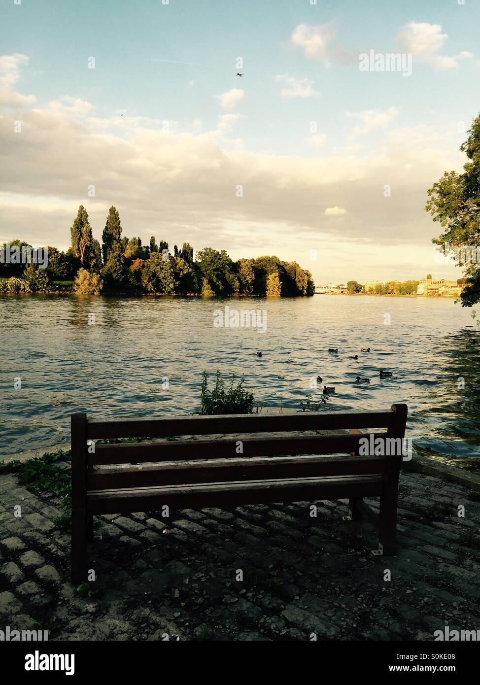 A seat with a view. A wooden bench with the view of a sunset lit river and a tree lined edge the other side - Smartphone Captured Stock Image