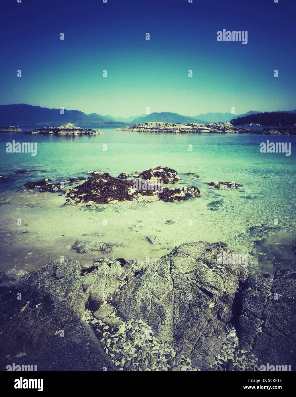 white sand of Clarke Island of Broken Group islands in British Columbia, Canada - Smartphone Captured Stock Image