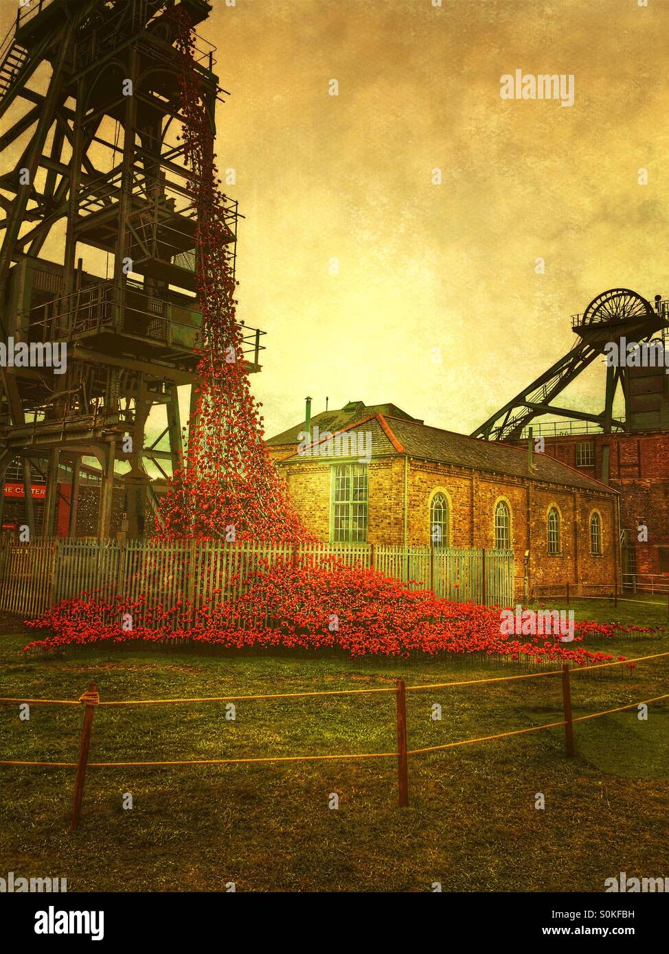 Weeping window poppy display, at Woodhorn Colliery in Ashington in Northumberland, to commemorate the soldiers of World War 1 - Smartphone Captured Stock Image