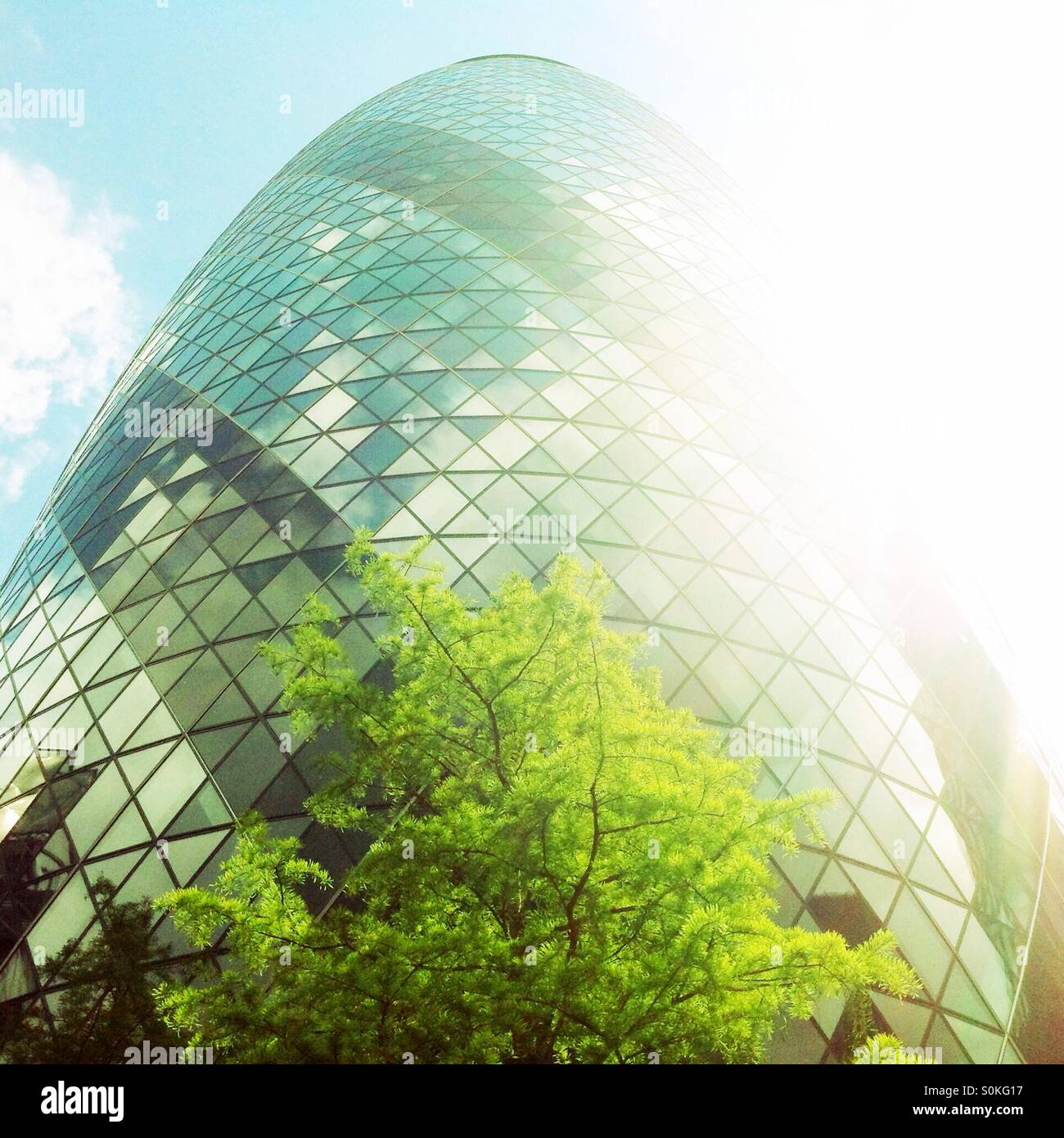 Green tree and the Gherkin - Smartphone Captured Stock Image