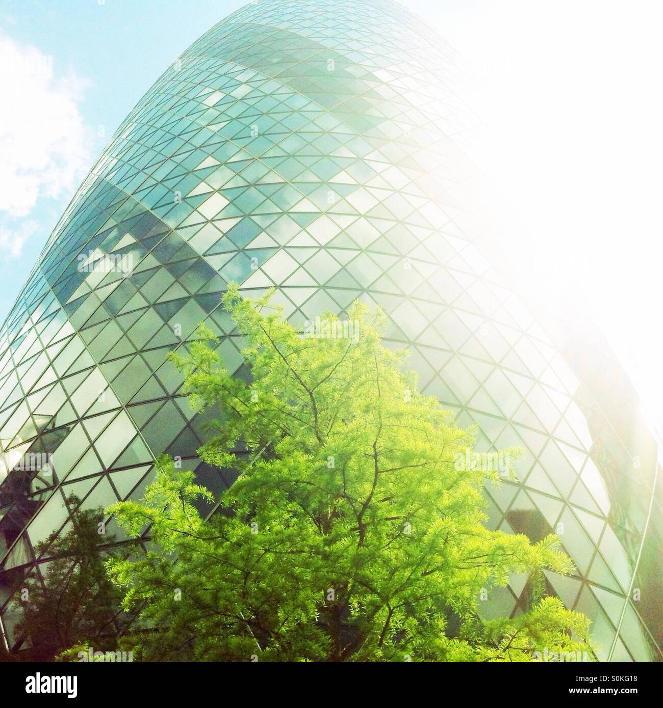 Green tree and the Gherkin - Smartphone Captured Stock Image