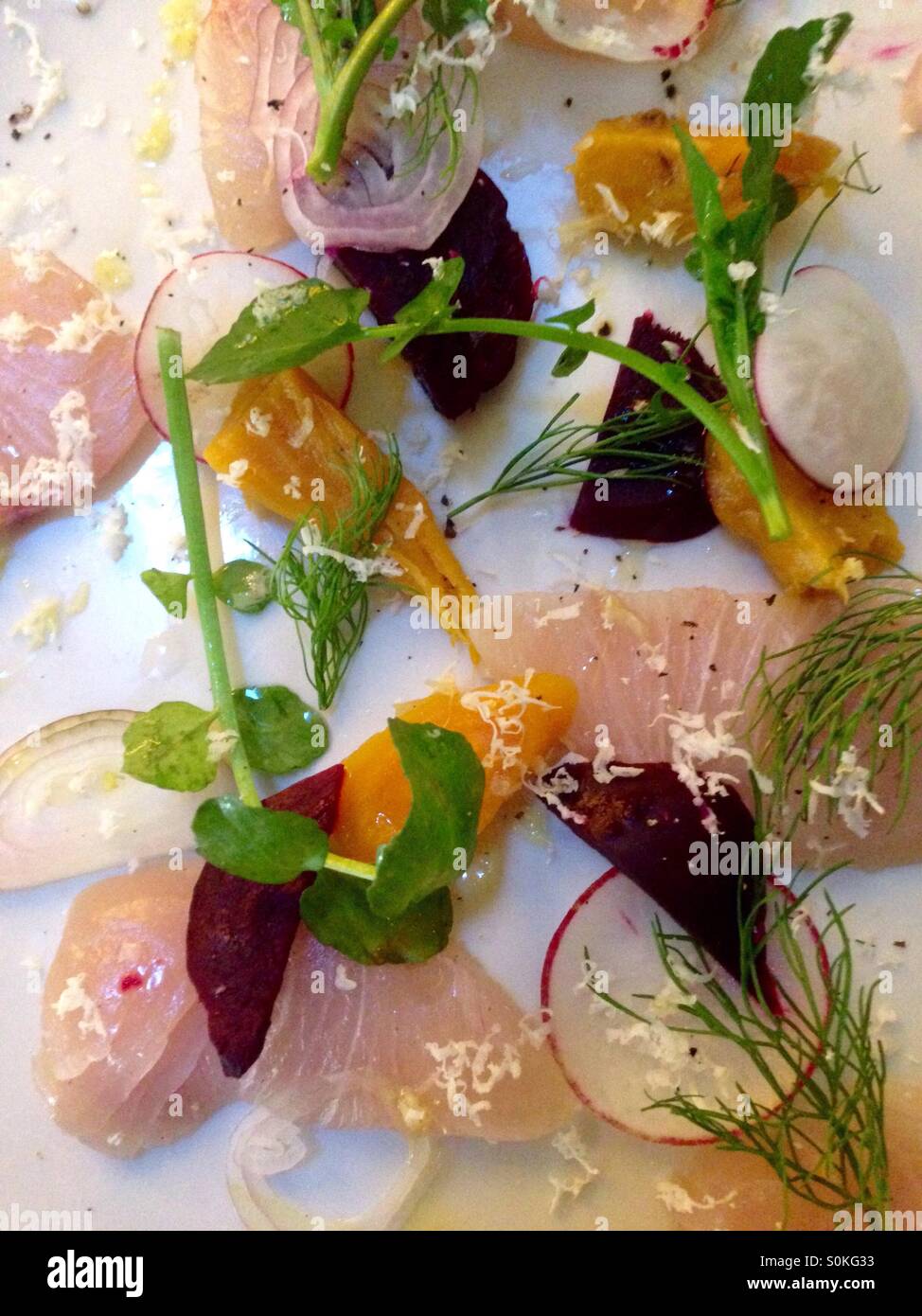 Fancy plated food with raw fish, dill, radishes and pickled vegetables Stock Photo