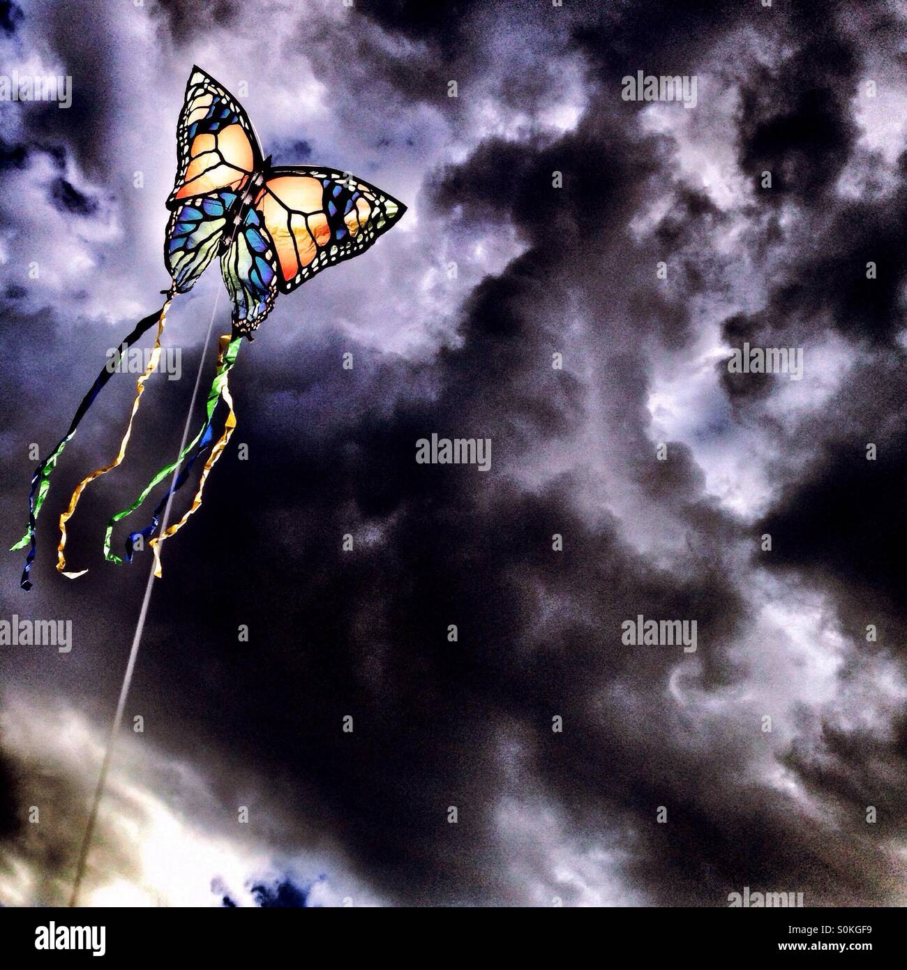 Kite - Smartphone Captured Stock Image Kite - Smartphone Captured Stock Image