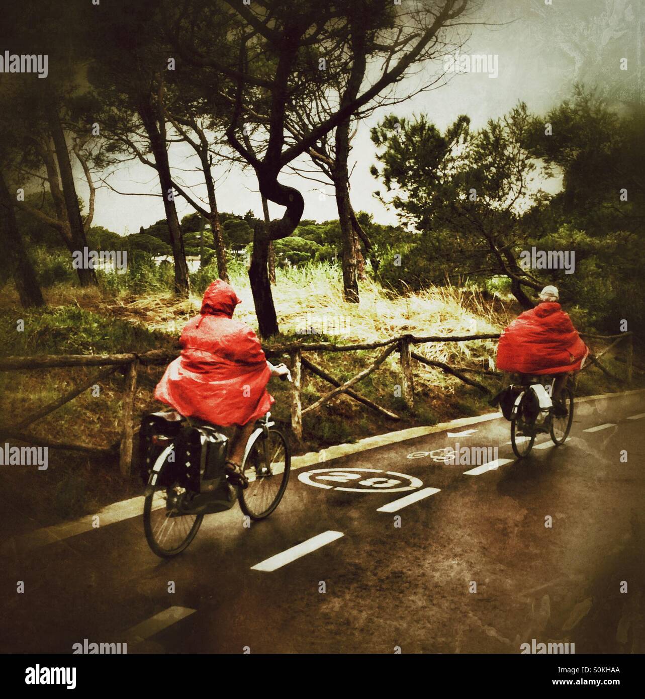 A couple with red raincoats cycling in the rain - Smartphone Captured Stock Image A couple with red raincoats cycling in the rain - Smartphone Captured Stock Image