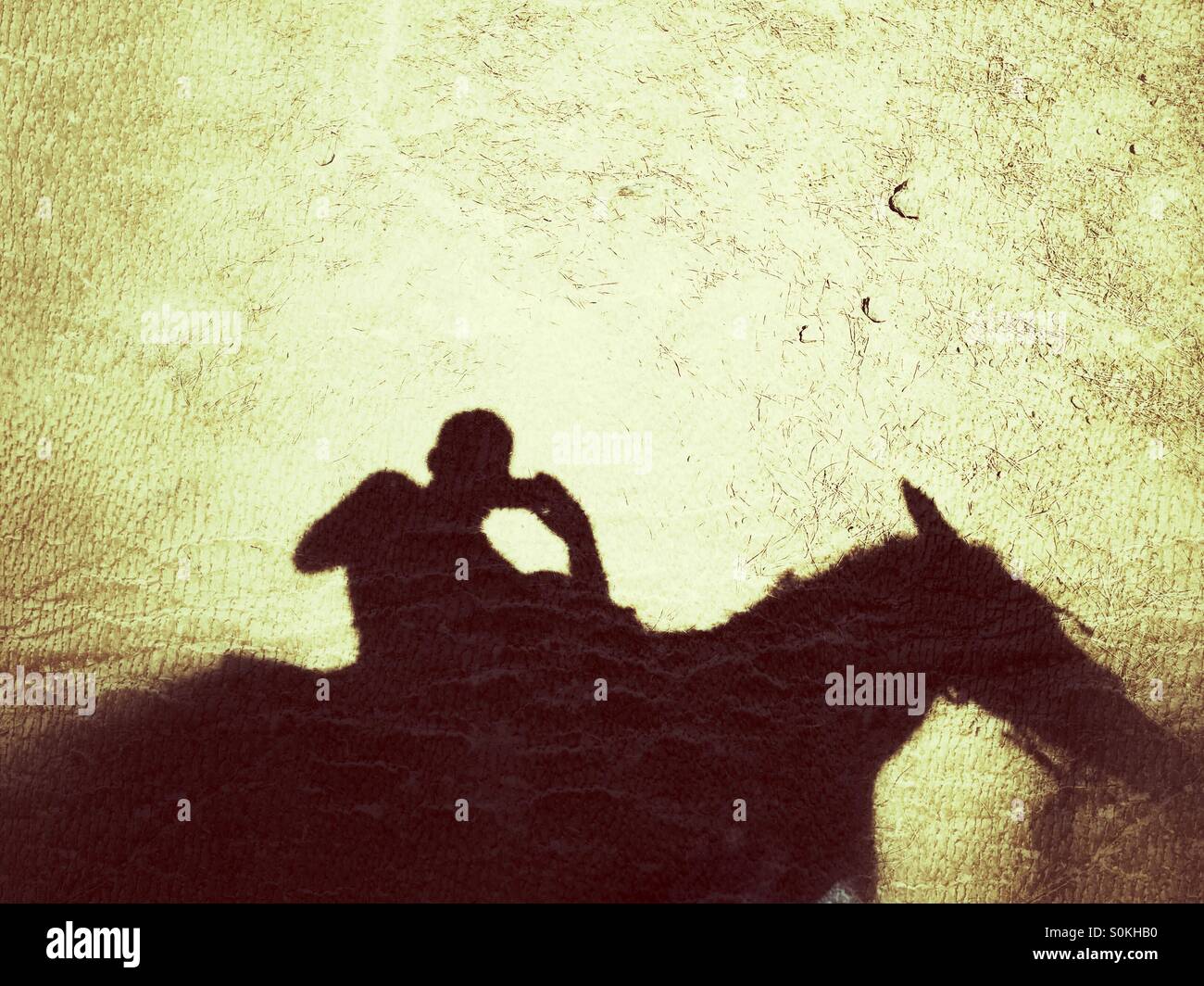 Shadow of a man riding a horse - Smartphone Captured Stock Image