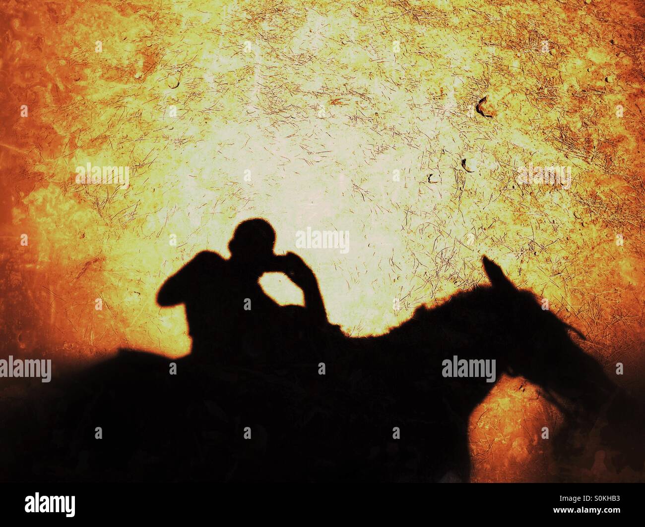 Shadow of a man riding a horse - Smartphone Captured Stock Image