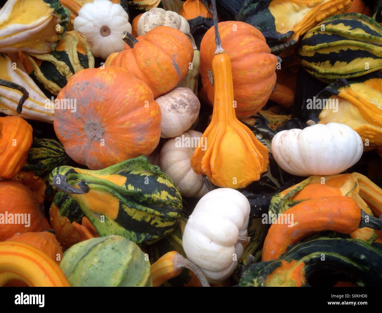 Gourds in a farmers market display Stock Photo - Alamy