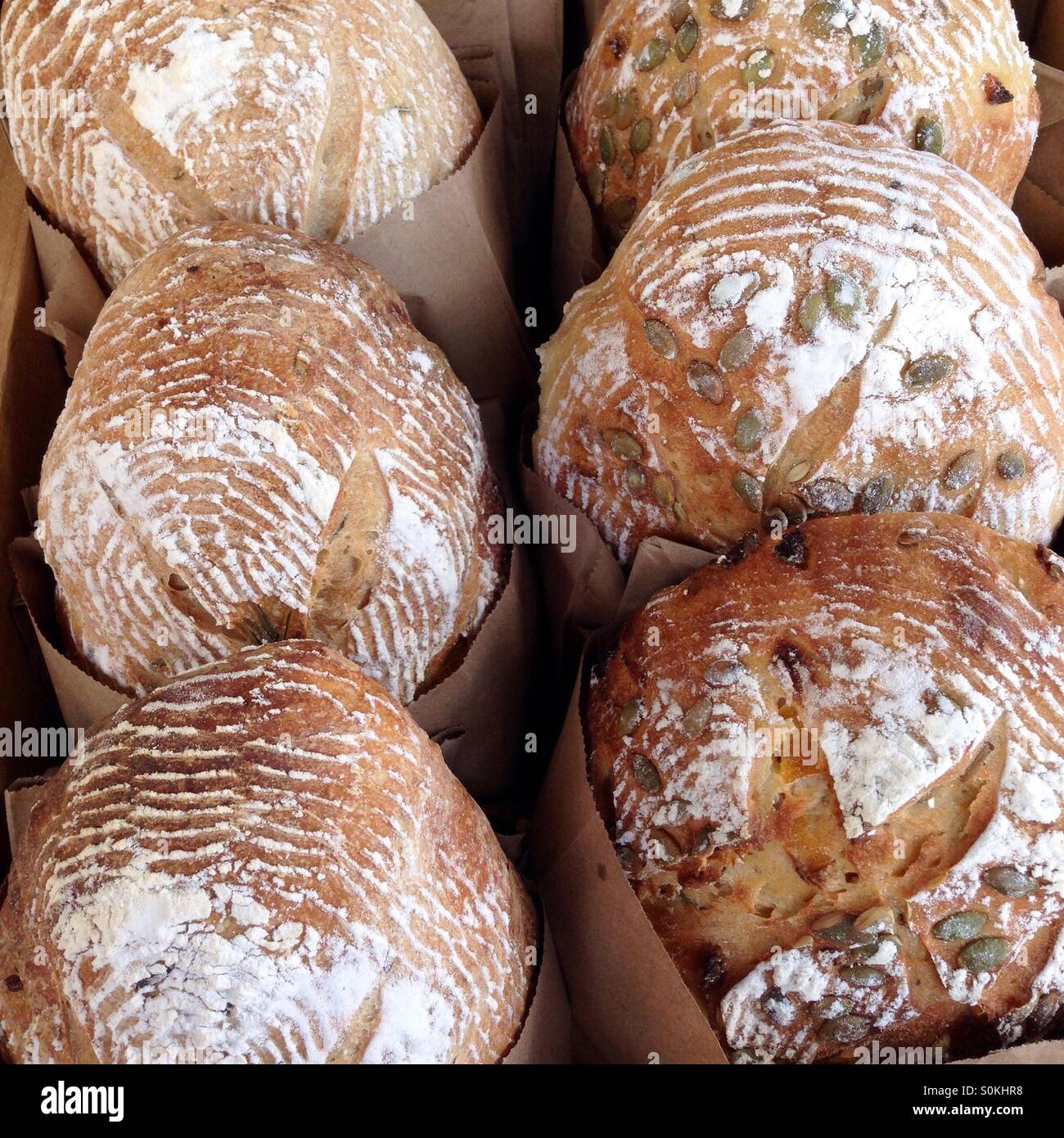 Freshly baked artisan breads with seeds and without Stock Photo Alamy