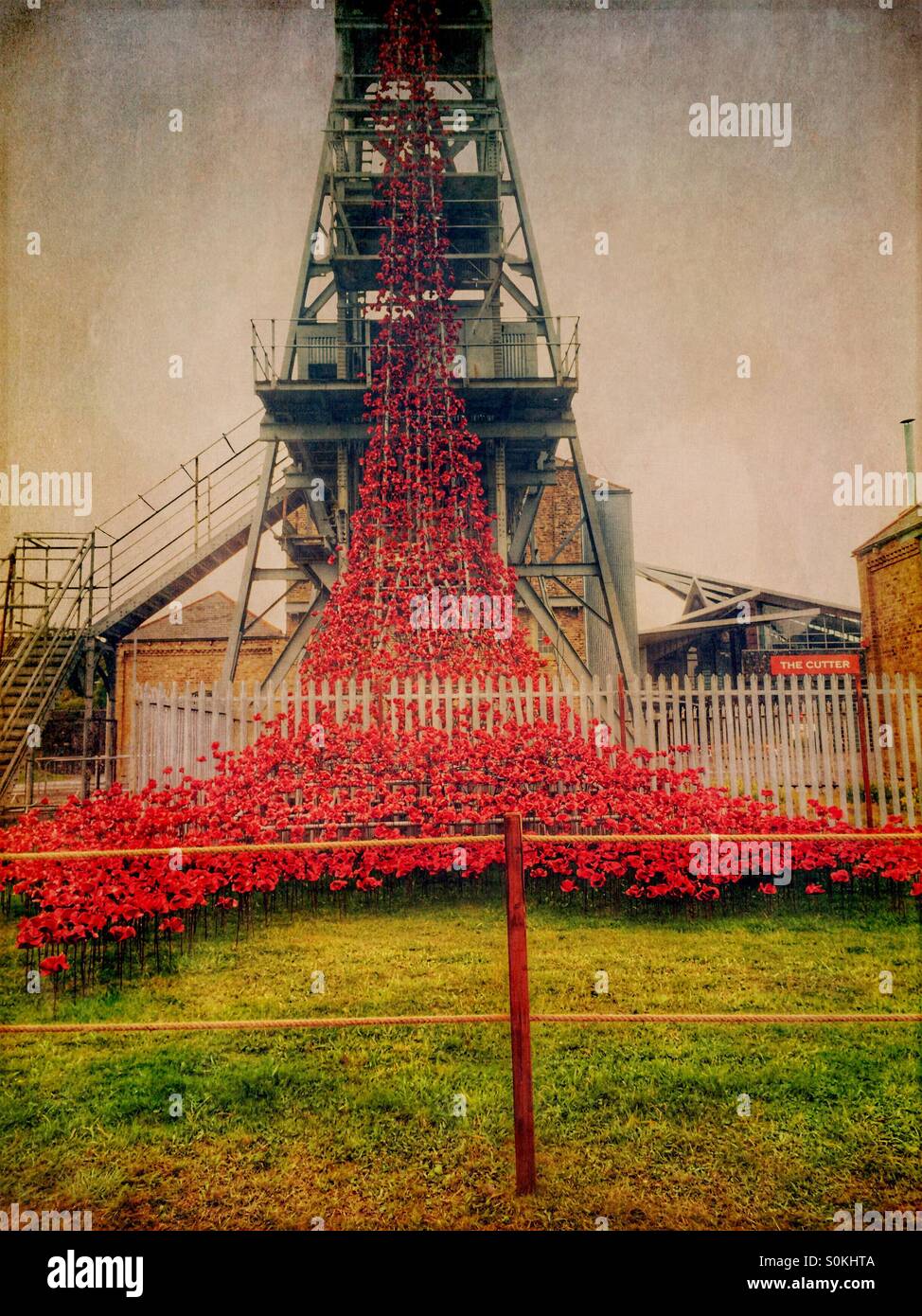 Weeping window poppy display, at Woodhorn Colliery in Ashington in Northumberland, to commemorate the soldiers of World War 1 - Smartphone Captured Stock Image
