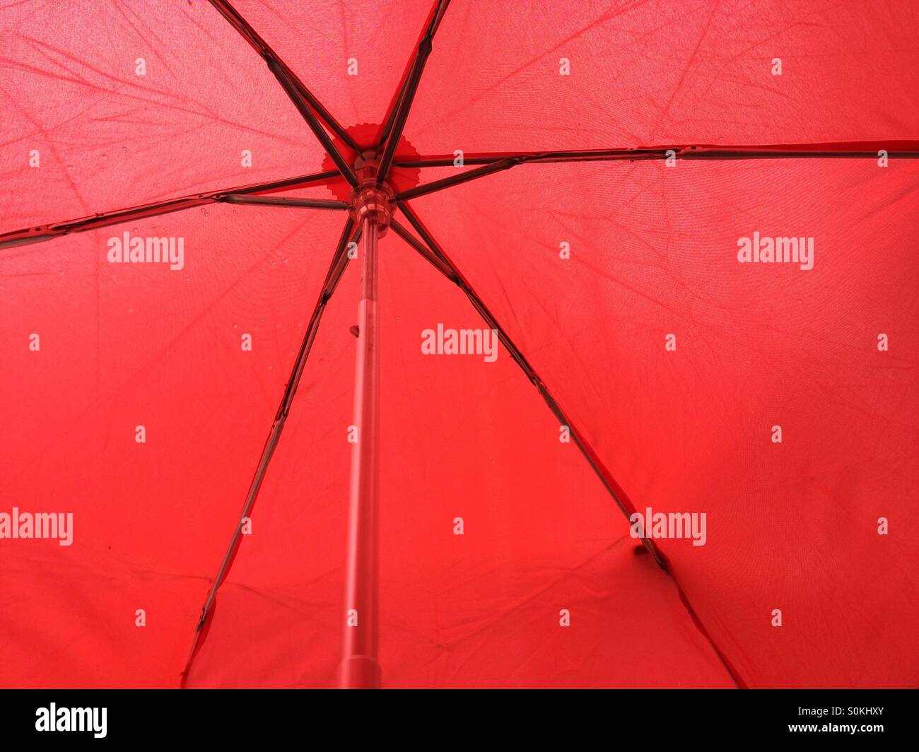 Red umbrella Stock Photo