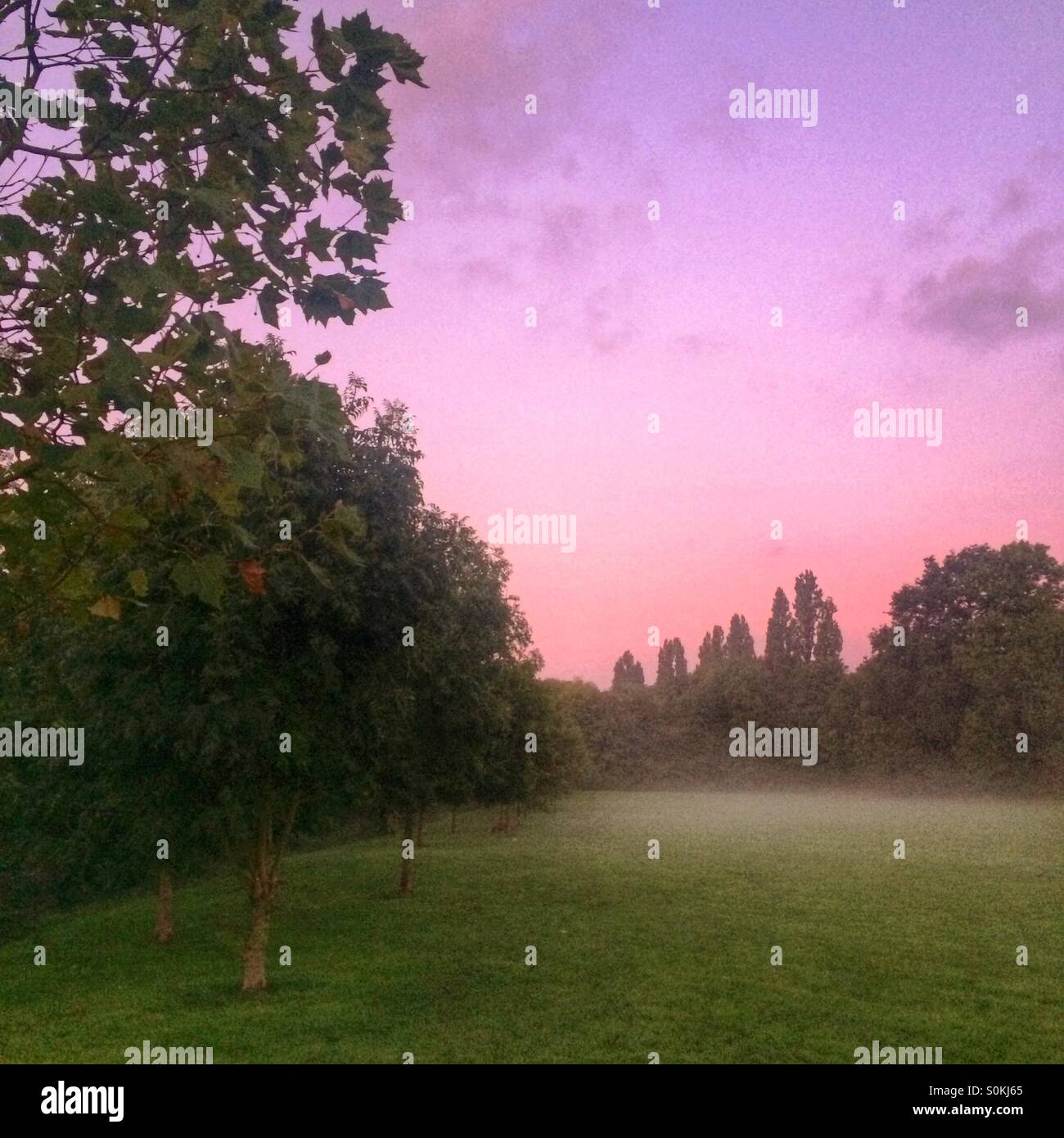 Beautiful morning mist and red sunrise in Alexandra Park, North London Stock Photo