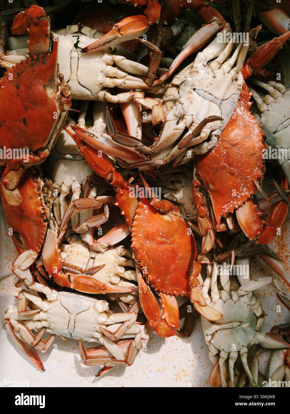 Crab Boil. Stock Photo