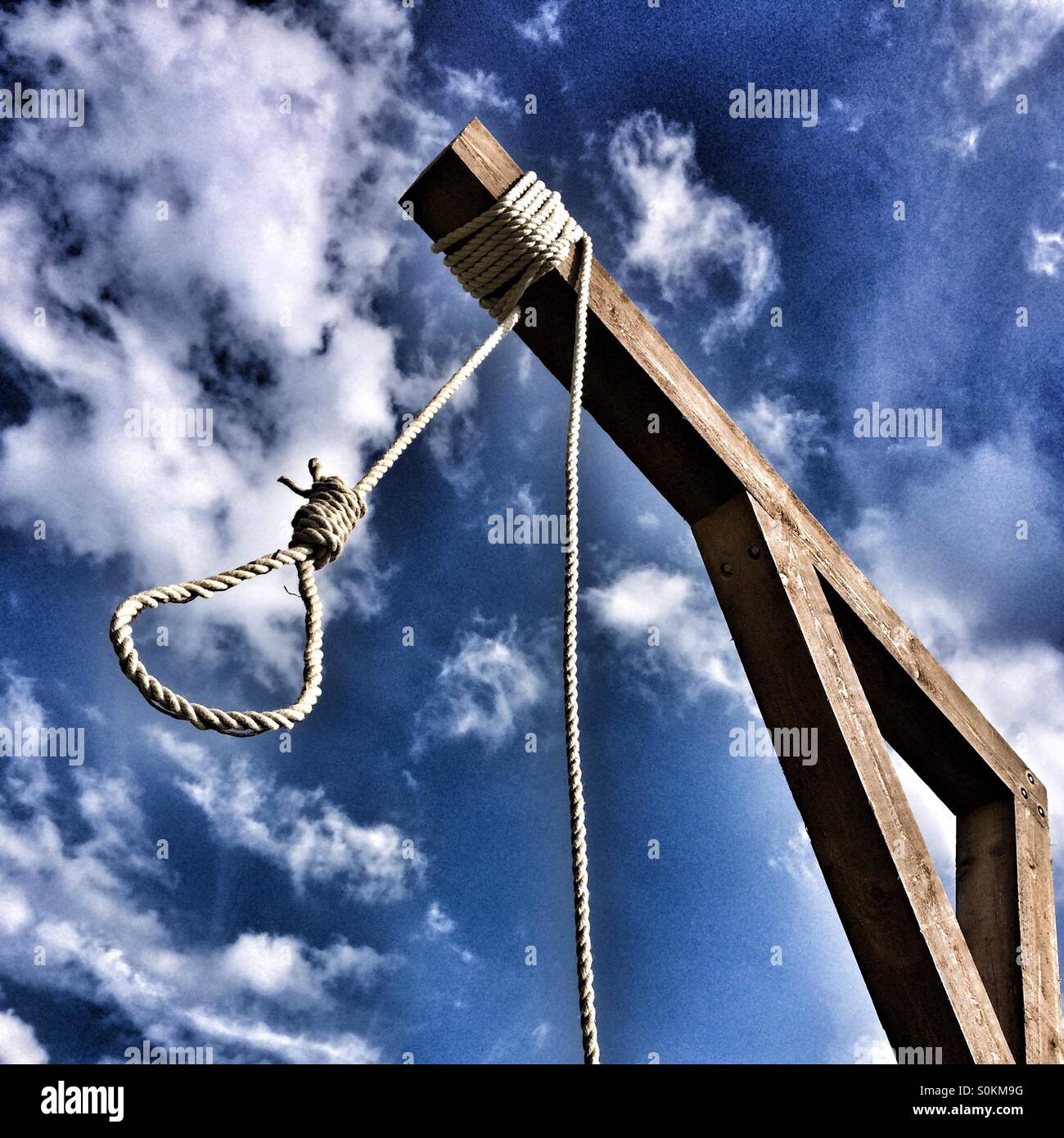 Hangman's noose Stock Photo - Alamy