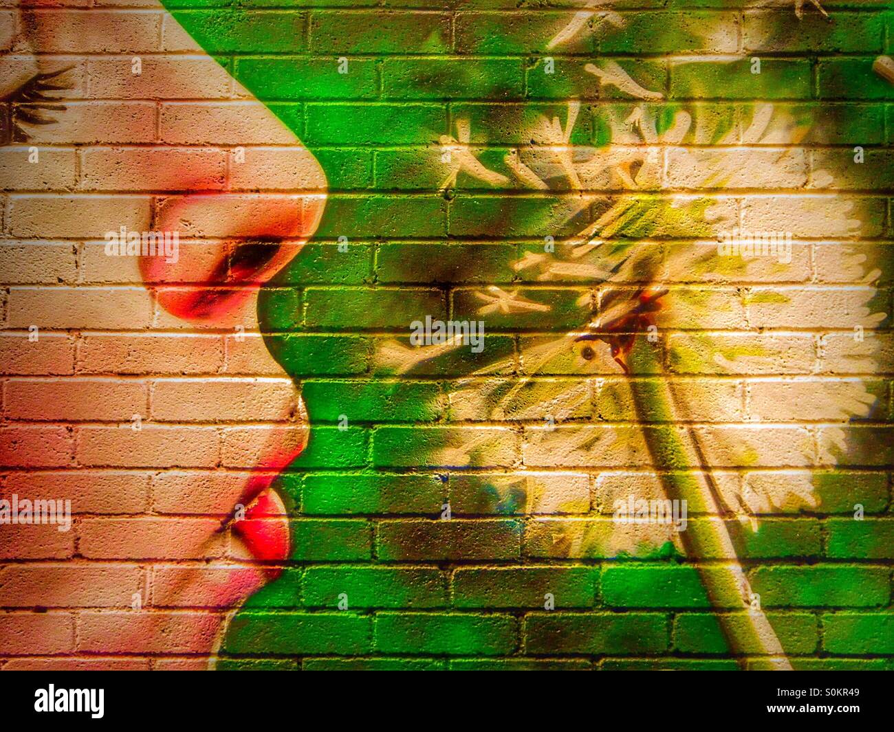 Summer on a wall - Smartphone Captured Stock Image