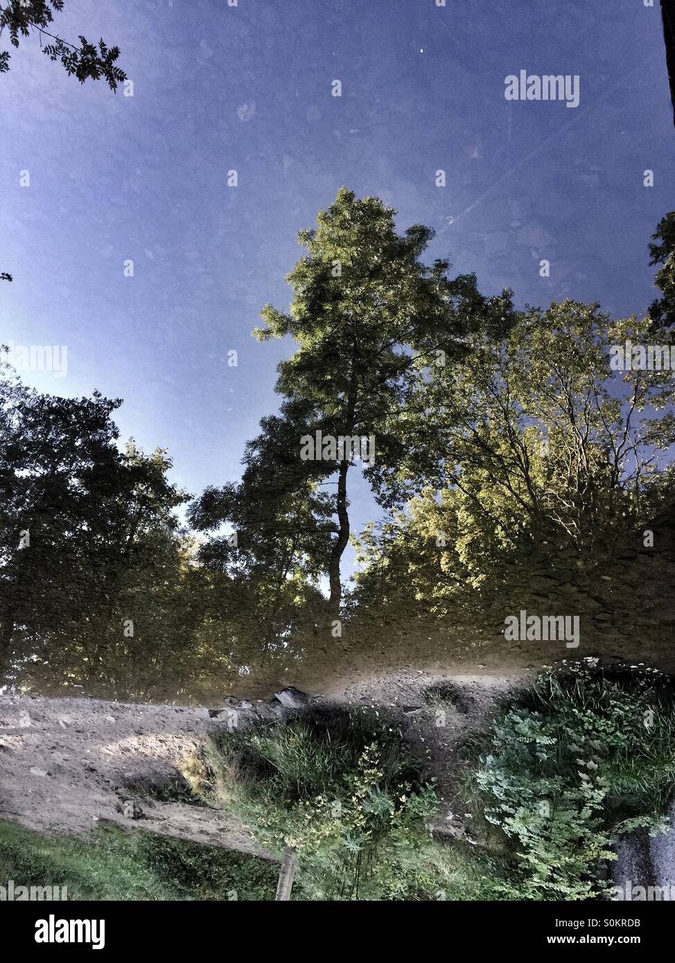 Reflections in the water, the image has been turned round so the land is on the bottom but if you turn your device round the image is as it was shot. I like the surreal look flipping the image gives - Smartphone Captured Stock Image