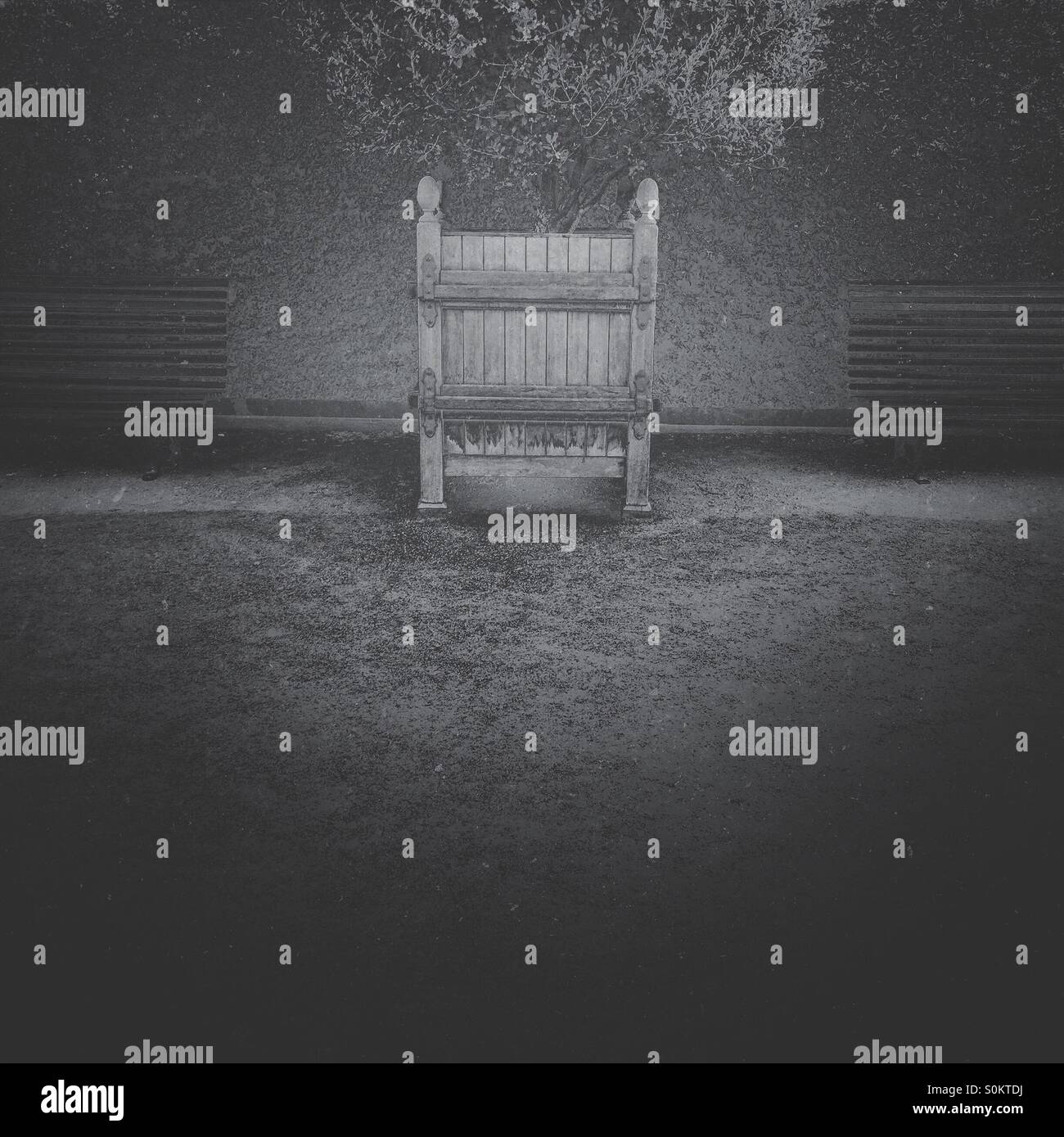 Tree planted in a wooden box between two benches - Smartphone Captured Stock Image