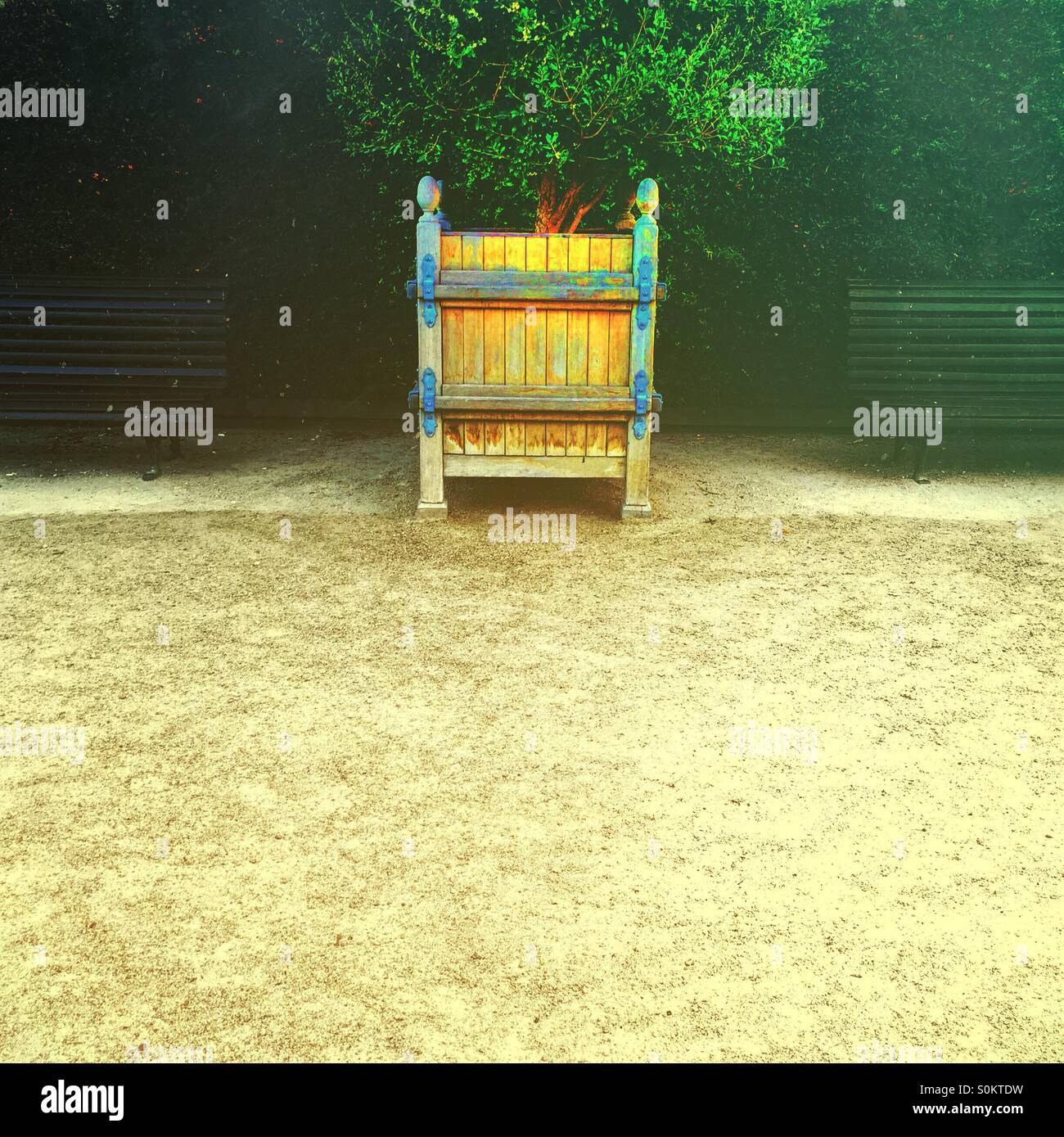 Tree planted in a wooden box between two benches - Smartphone Captured Stock Image