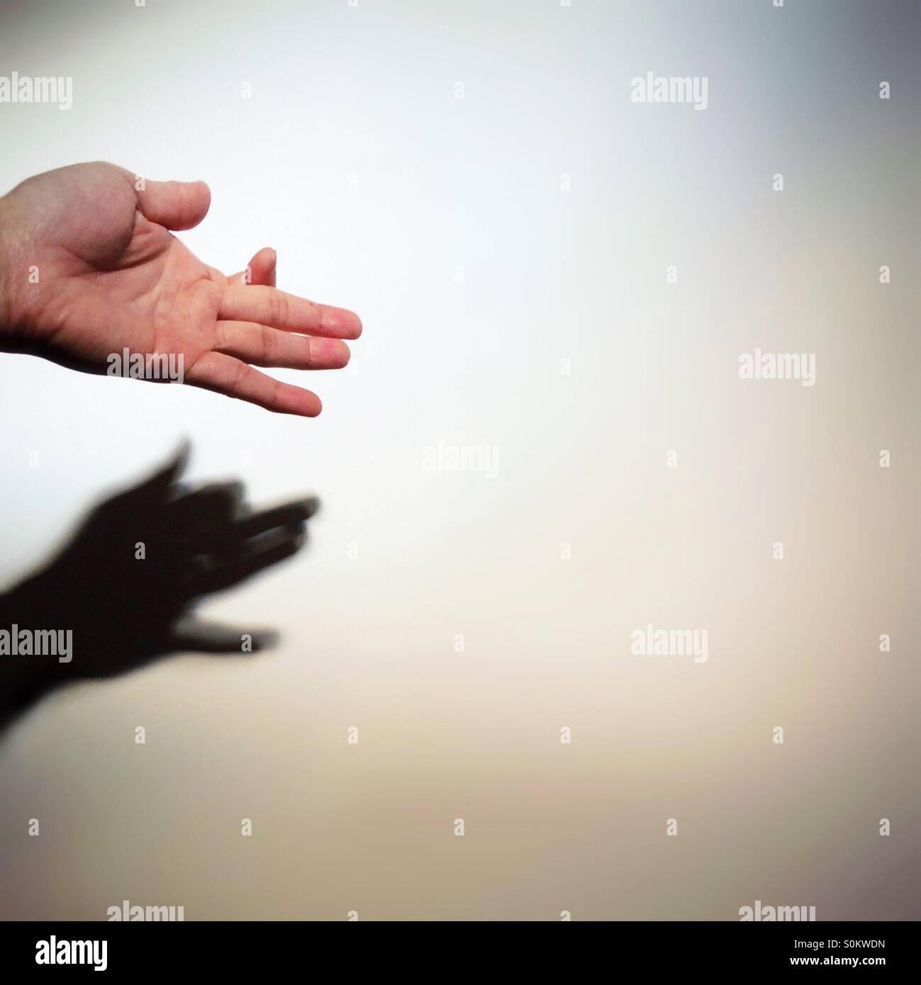 Shadow Puppets High Resolution Stock Photography and Images - Alamy