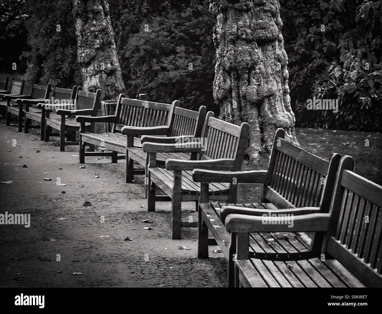 Row of public park benches, Glasgow, UK - Smartphone Captured Stock Image