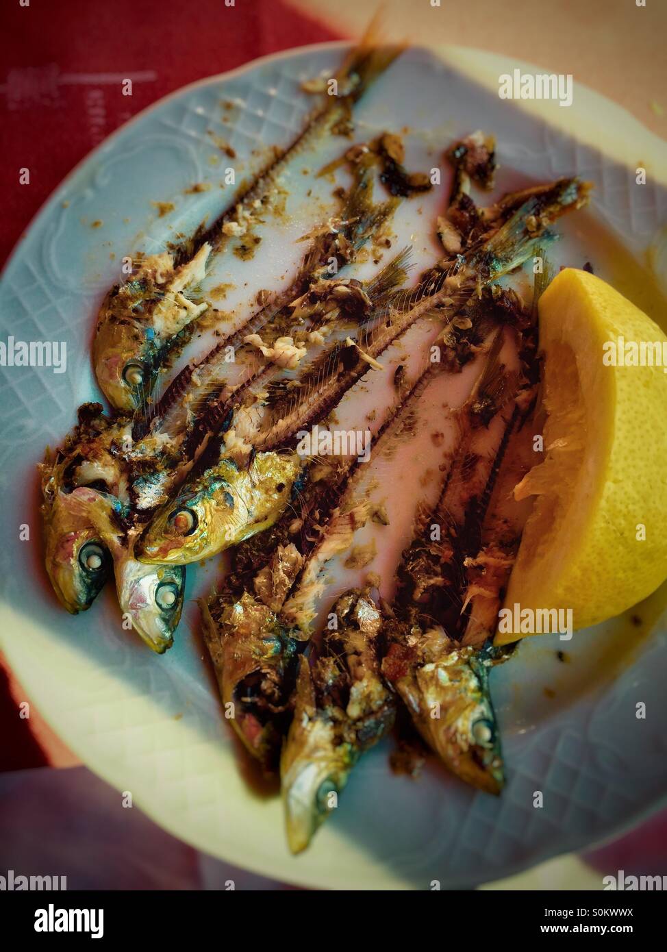 The remains of a plate of sardines - Smartphone Captured Stock Image