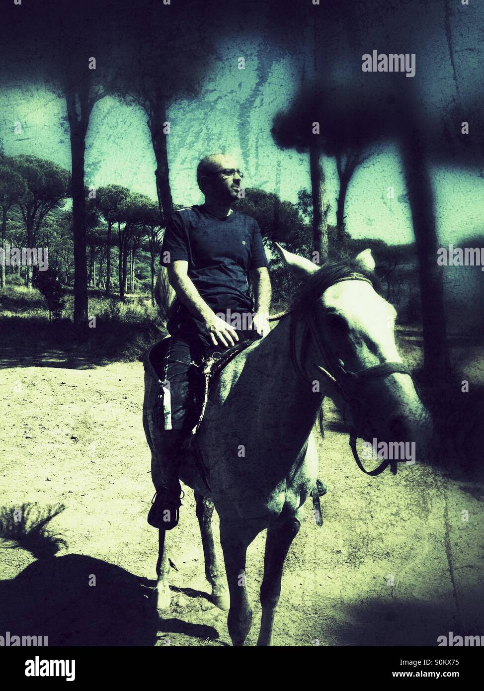 Middle aged man riding a horse with pride in the forest - Smartphone Captured Stock Image
