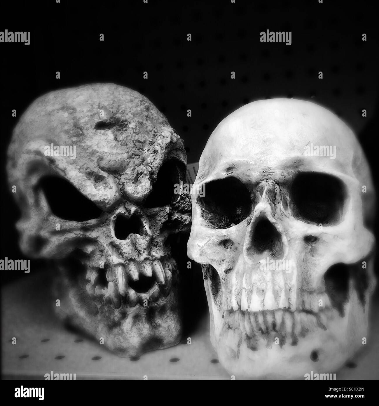 Scary skulls for Halloween - Smartphone Captured Stock Image