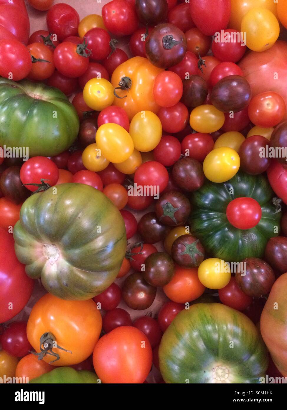 Colourful heirloom tomatoes at farmers market Stock Photo - Alamy