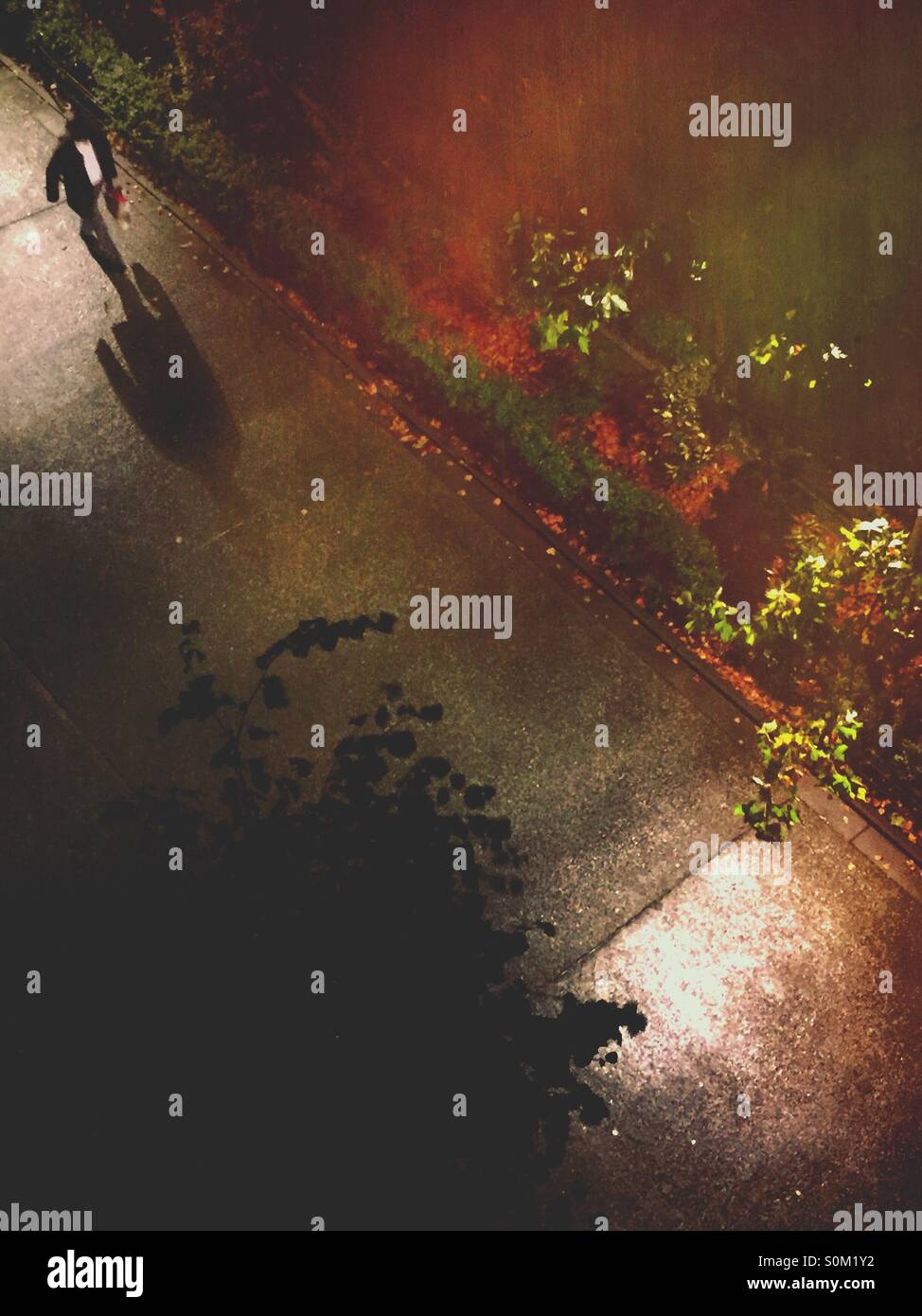 Rainy night. Man walking under street lights. - Smartphone Captured Stock Image