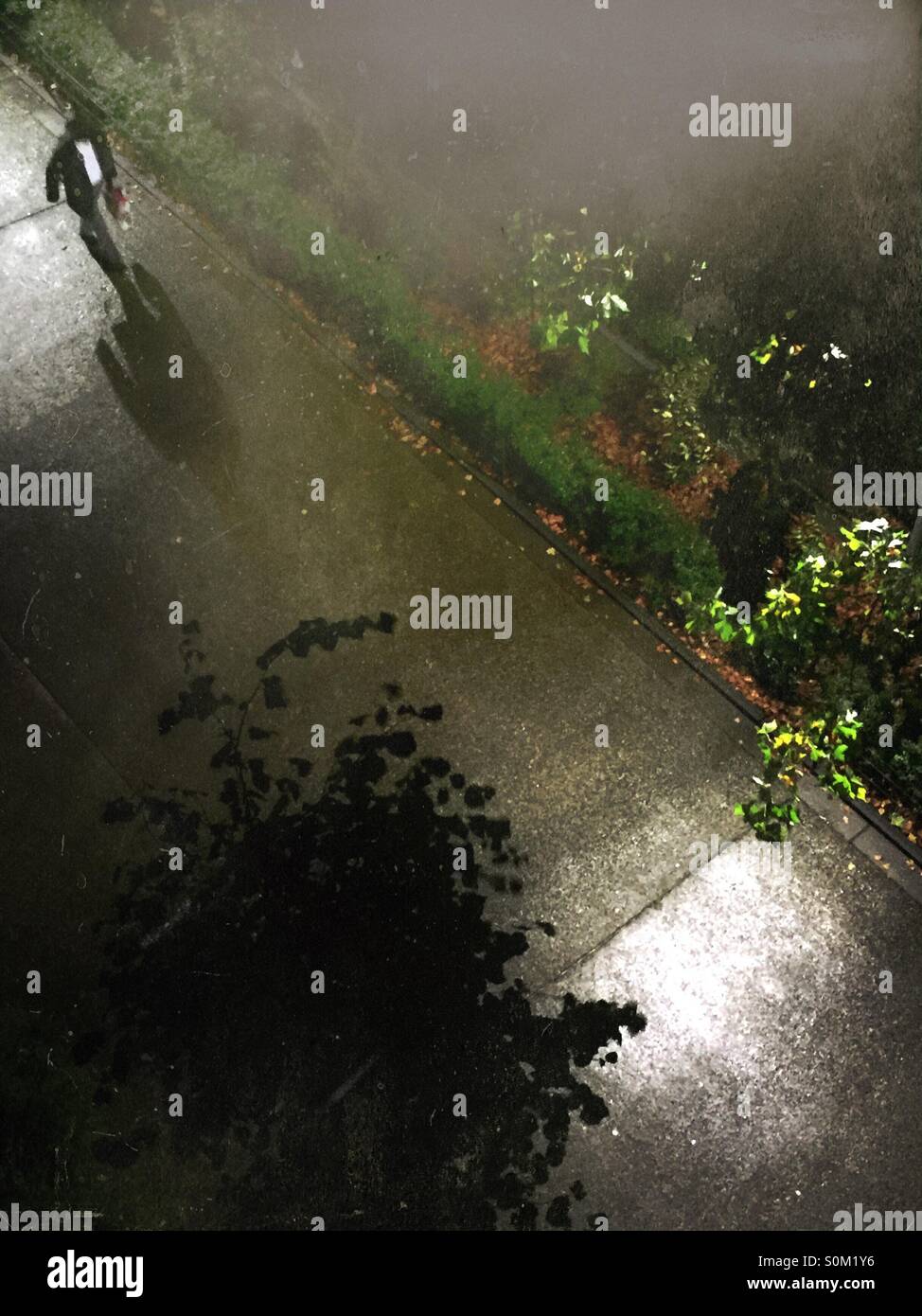 Rainy night. Man walking under street lights. - Smartphone Captured Stock Image